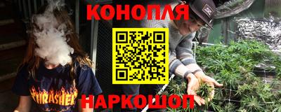 индика Абакан