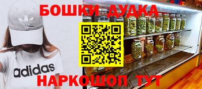 apvp Партизанск