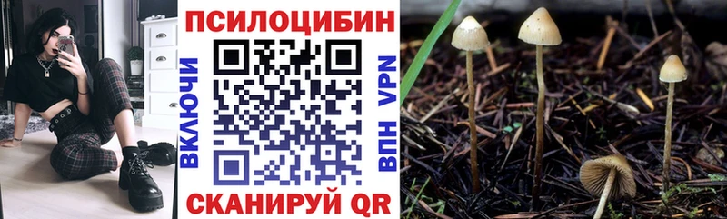 ОМГ ОМГ ссылка  Тайшет  Галлюциногенные грибы Magic Shrooms 