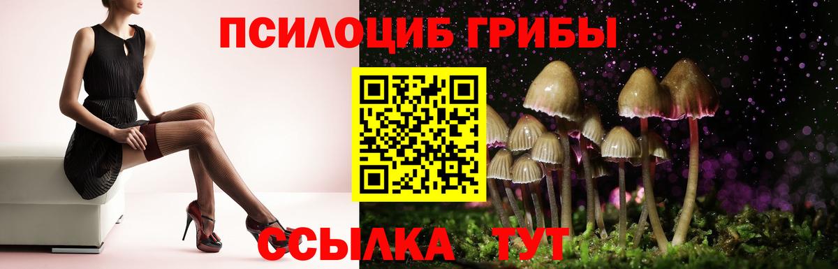 Псилоцибиновые грибы MAGIC MUSHROOMS  дарнет шоп  Тайшет  Вход с VPN  Галлюциногенные грибы мухоморы 